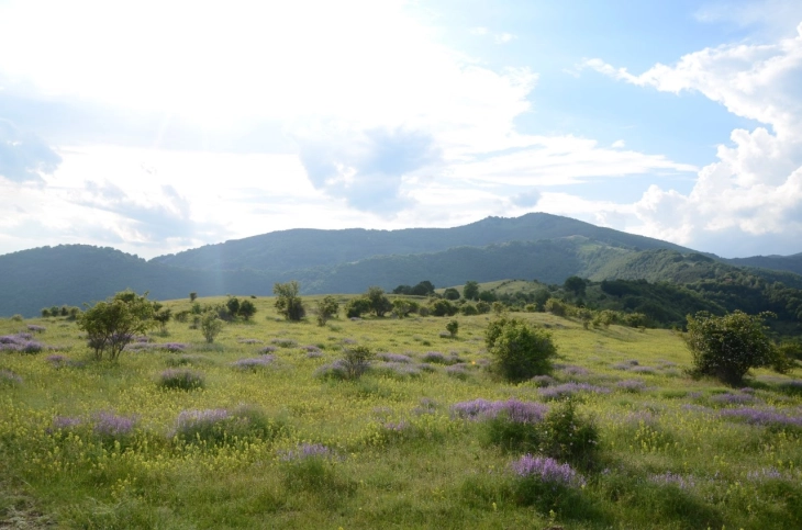 Moti do të jetë me diell dhe i ngrohtë me vranësira të lehta deri mesatare