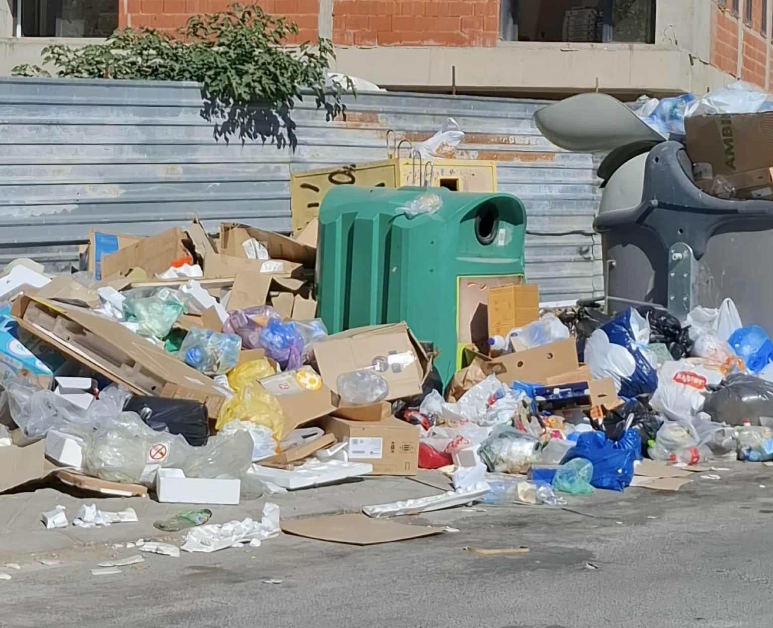 Si po e lë kryeqytetin Danella Arsovska? Shkupi po mbyt nga mbeturinat, kontejnerët të mbushur, rrugët e ndotura
