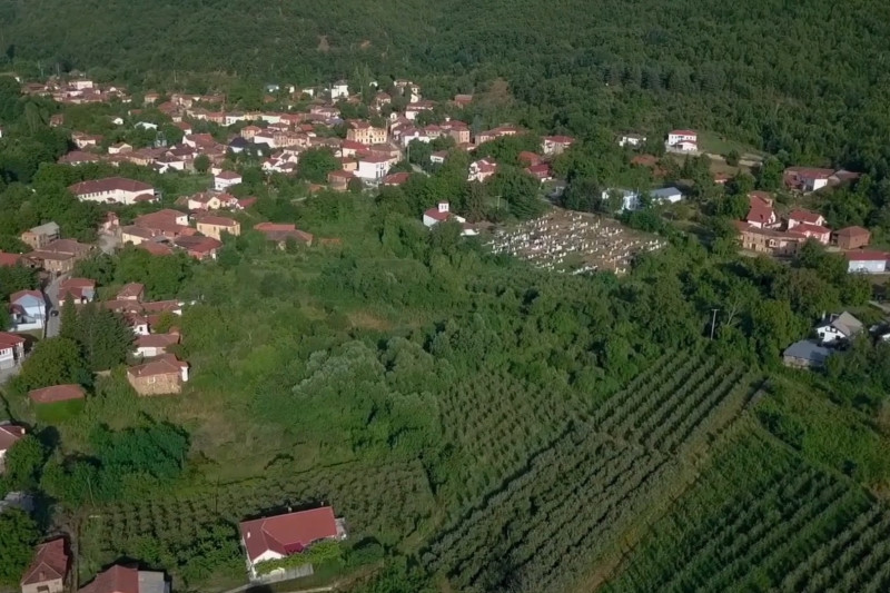 Banorët e fshatit Lubojnë në hall me prerësit e drunjëve