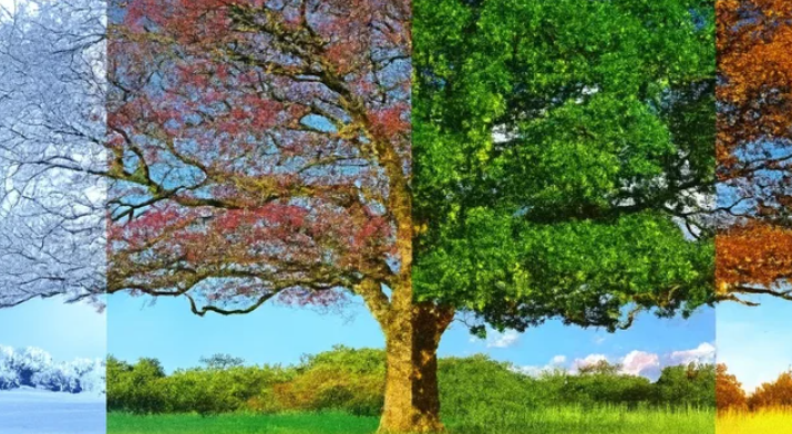 nje-studim-ka-zbuluar-se-stina-kur-ke-lindur-formon-karakterin-tend-dhe-s-ka-lidhje-me-horoskopin