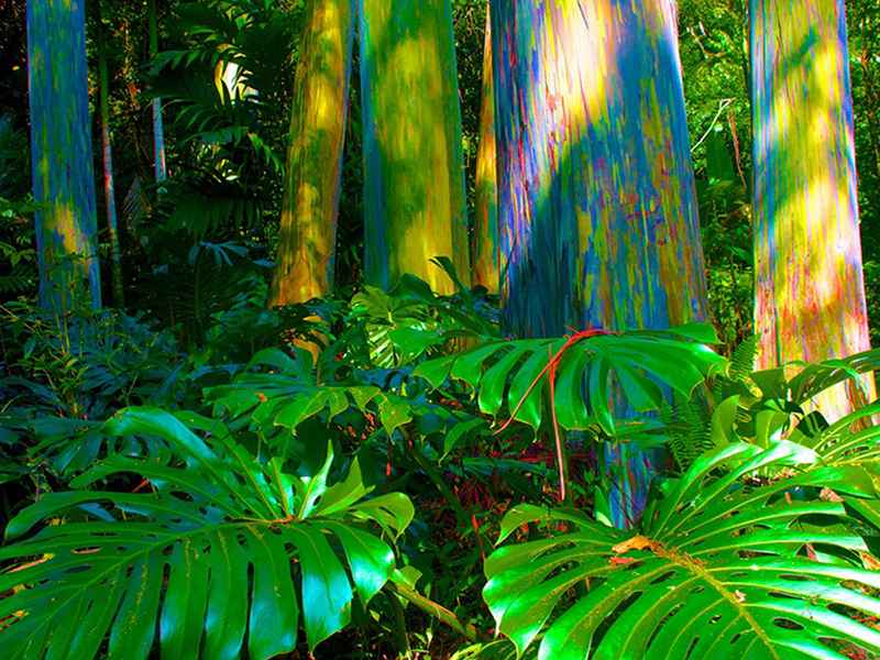 ngjyra-juaj-e-fatit-sipas-shenjes-zodiakale