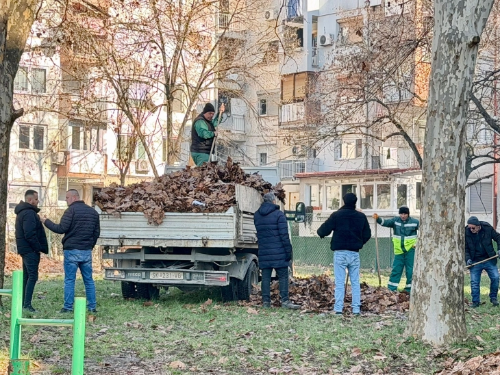 Vazhdon aksioni për mirëmbajtjen e gjelbërimit në Çair në bashkëpunim me NP “Parqe dhe gjelbërimi”