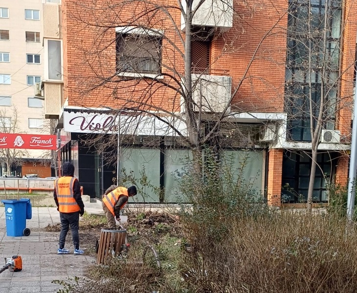 Vazhdon aksioni për mirëmbajtjen dhe pastrimin e hapësirave të gjelbra në Çair