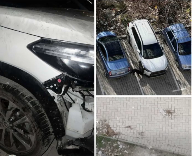 Pas sulmeve ndaj njerëzve, qentë endacakë në Gazi Babë dëmtojnë edhe automjete