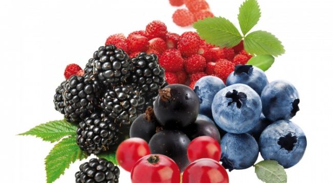 Këto fruta mund t’i hani në mëngjes, me barkun bosh