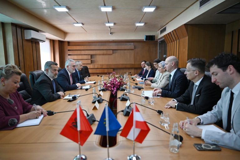 Gogu pret ministren austriake Sporrer  Mbështetje për integrimin europian