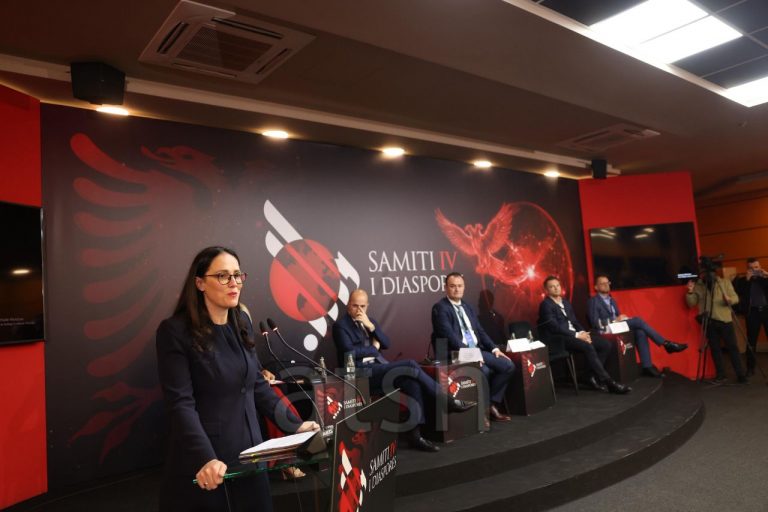 Ibrahimaj  Diaspora  partner kyç për inovacionin dhe zhvillimin ekonomik të Shqipërisë