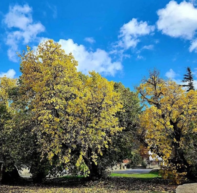 E premte me mot të kthjellët  alternime vranësirash në mëngjes