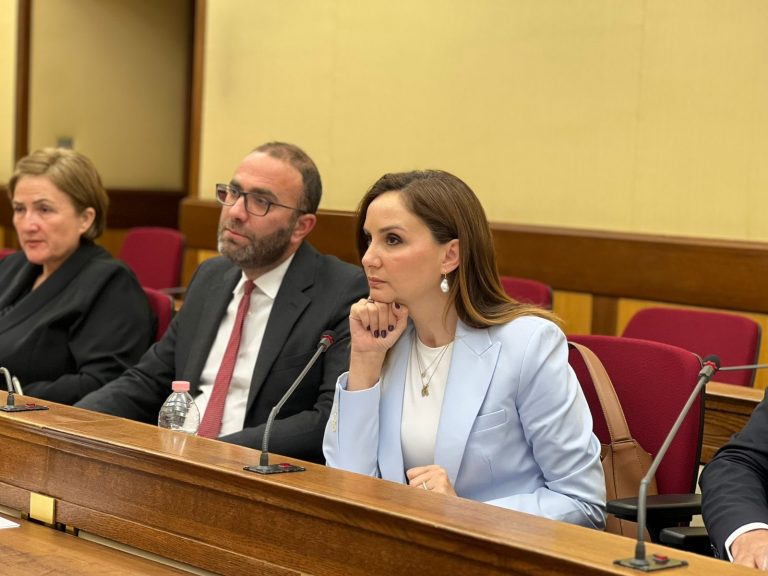 Bardhi dhe Tabaku në Senatin italian  Shqipëria po përkeqësohet në lirinë e medias