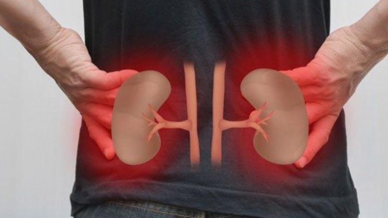 mos-e-hani-banane-nese-keni-problem-me-veshkat