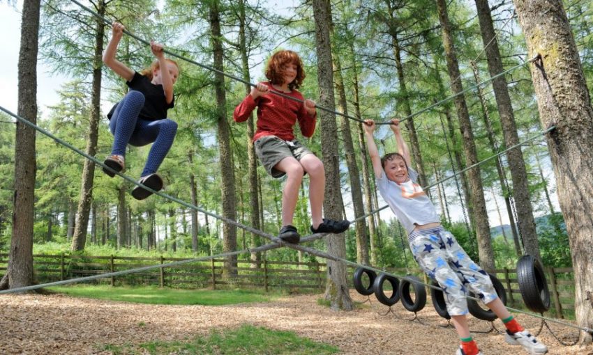 Doni fëmijë të zgjuar dhe të shoqërueshëm 