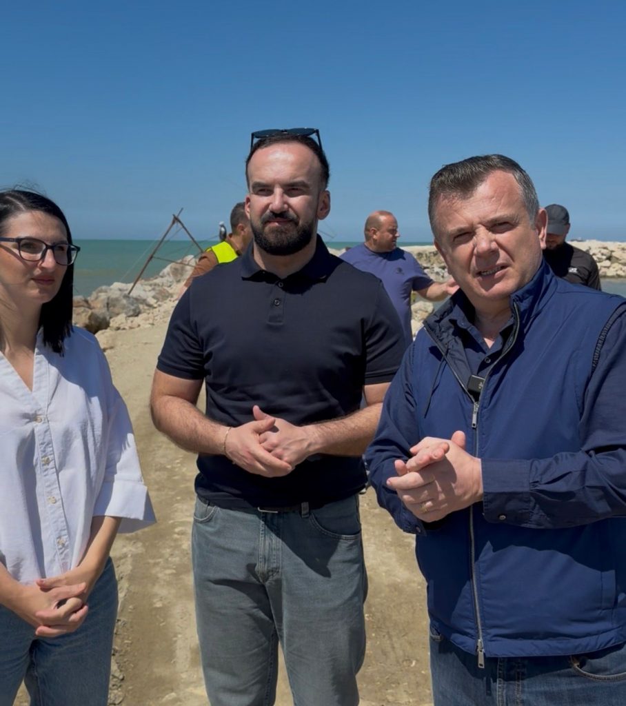 balla-ne-kavaje-masa-per-mbrojtjen-e-perroit-te-leshniqes-nga-ndotja