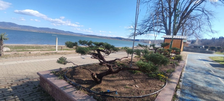 kallezim-penal-ndaj-ish-drejtoreshes-nga-dojrani-aktivizoi-parkim-pa-leje-demtoi-qytetaret-per-240-mije-denare