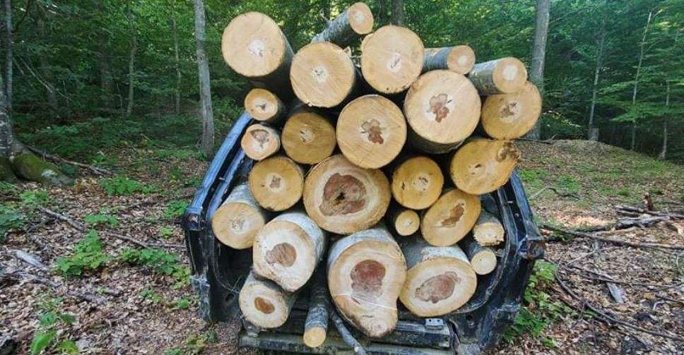 Kapet në flagrancë  arrestohet druprerësi ilegal në Shkup