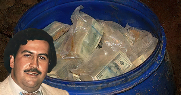 gjeti-600-milione-dollare-te-varrosura-ne-are-fermeri-zbulon-rastesisht-pasurine-e-pablo-escobar