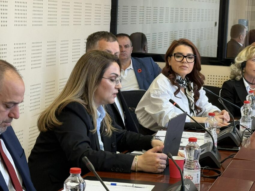 Selimi: Jemi njëzëri për çdo tentativë që niset nga Kosova, procesin në Hagë mos e bëni pjesë të fushatave