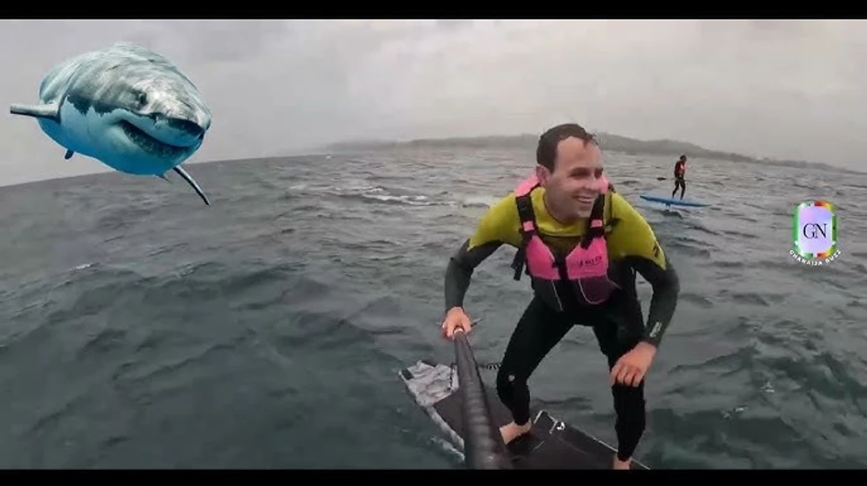 Videoja tregon një peshkaqen tri metra të gjatë që ndjek një burrë për dhjetë minuta në brigjet e një plazhi të njohur të Kalifornisë