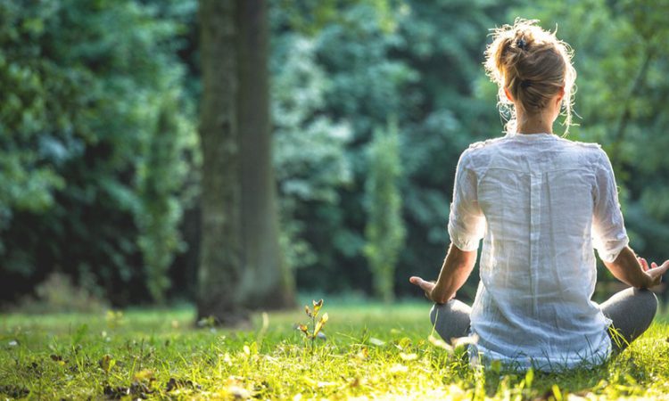 keshilla-si-ta-arrini-qetesine-mendore