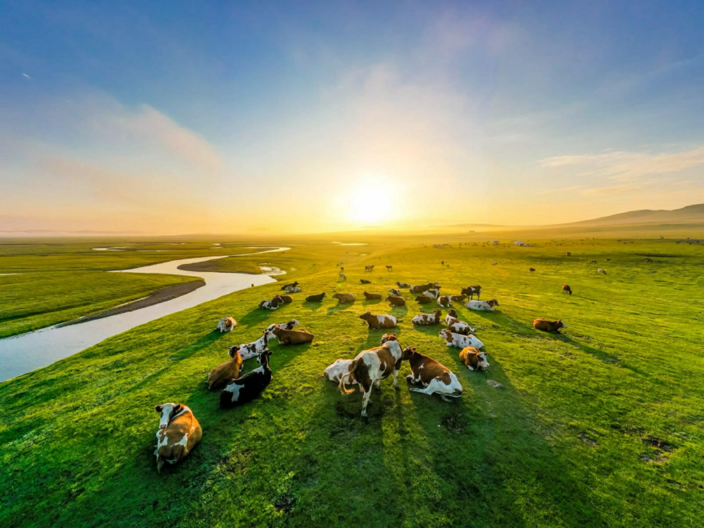 Zonat e tregtisë së lirë ofrojnë mundësi të shumta tregtare dhe industriale