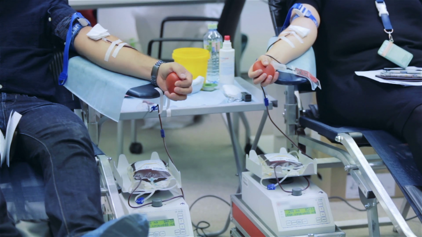 Rëndësia e transfuzionit të gjakut