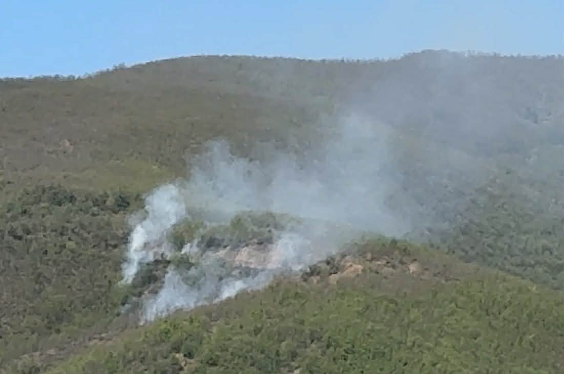 10 hektarë pyll i ulët i djegur pranë Glazhnjës