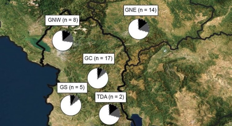 Origjina e shqiptarëve sipas ADN-së së lashtë dhe gjenetikës së popullatave
