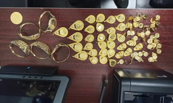 Ari i padeklaruar kapet në kufirin e Hanit të Elezit – Policia dhe Dogana e Kosovës ndërhyjnë
