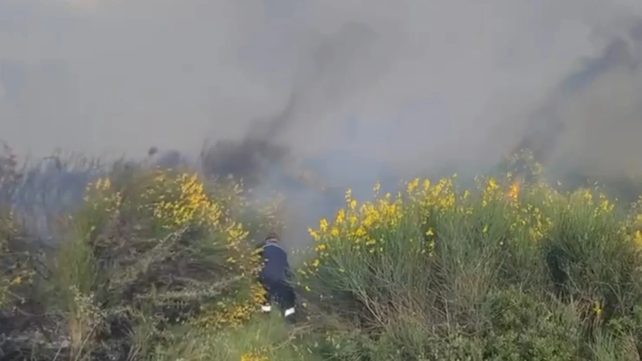 Zjarr në Vlorë  era e fortë përhap me shpejtësi flakët në kodra dhe zonat me ullishte