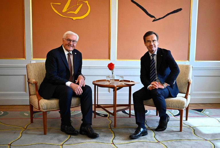 Steinmeier: Bashkimi Evropian duhet të mbështesë SHBA-në për siguri
