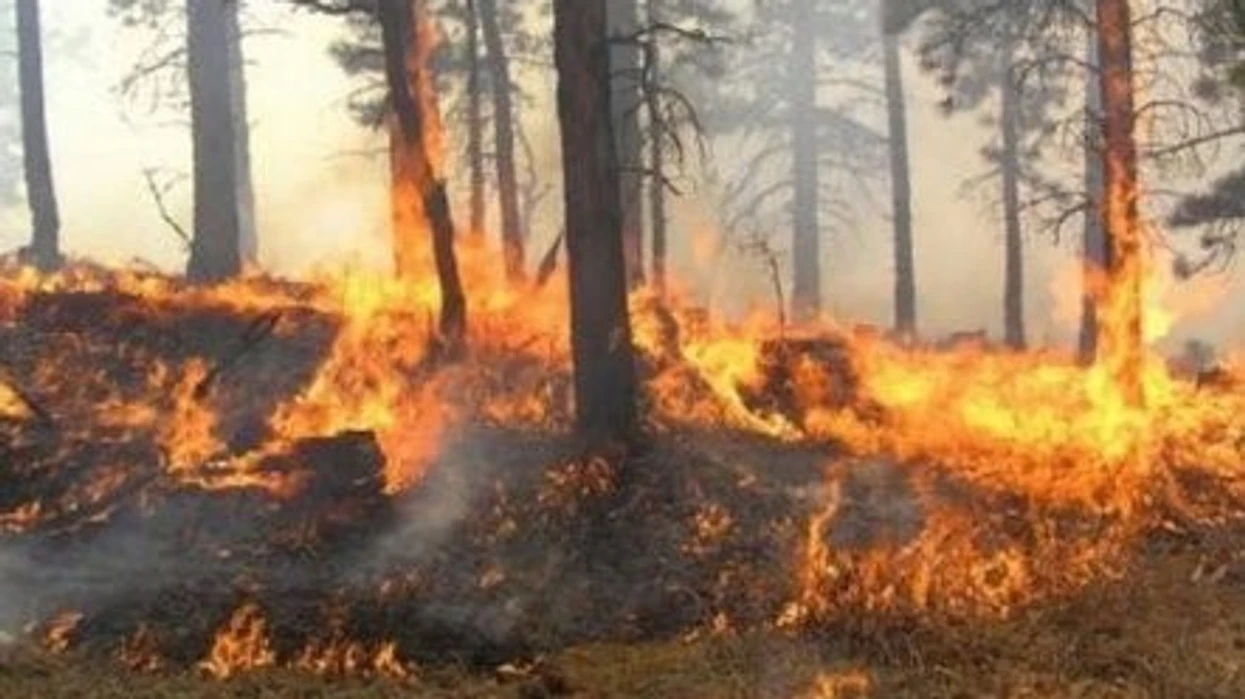 Shpërthen zjarr në kufirin në mes RMV së dhe Greqisë në Dojran