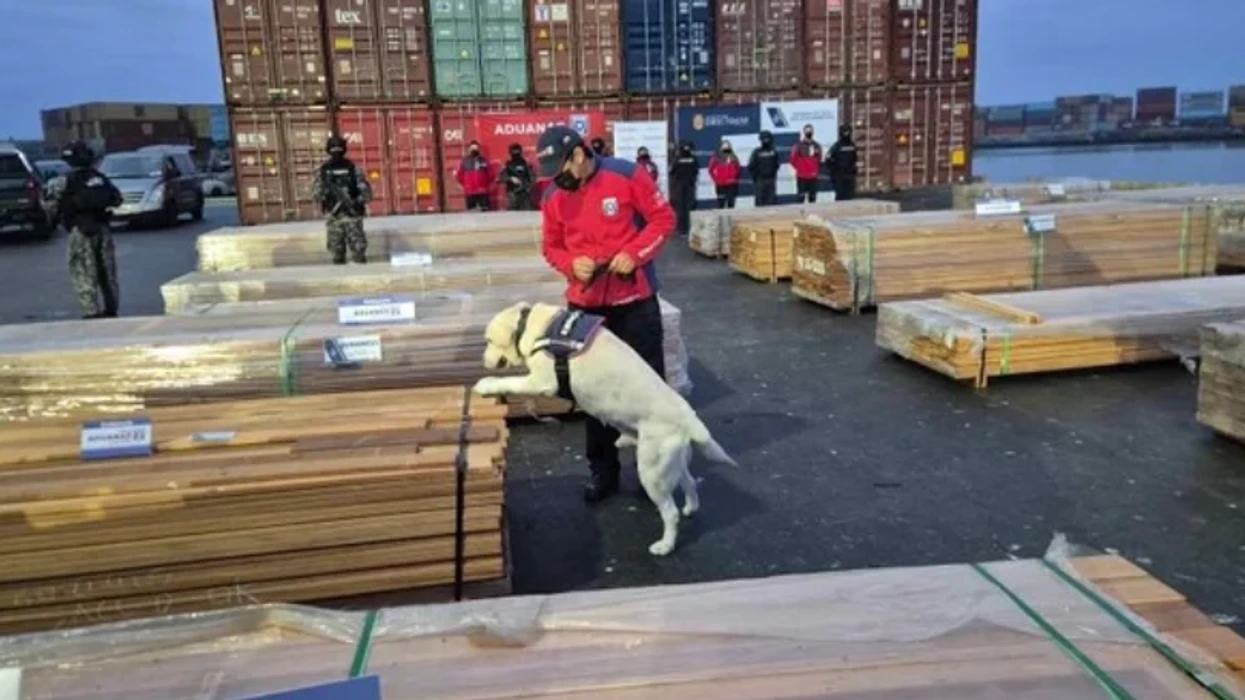 Kili sekuestron mbi 100 tonë drogë – vlera kap shifrat e mbi