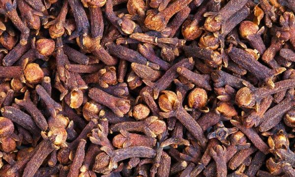10-erezat-me-efikase-per-te-larguar-mushkonjat