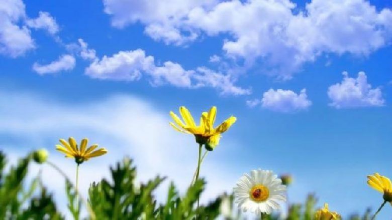 Mëngjes i ngrohtë sot, gjatë ditës priten reshje shiu