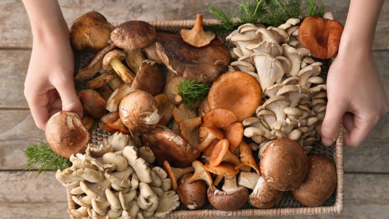 Kërpudhat parandalojnë kancerin e prostatës dhe kancerin e gjirit