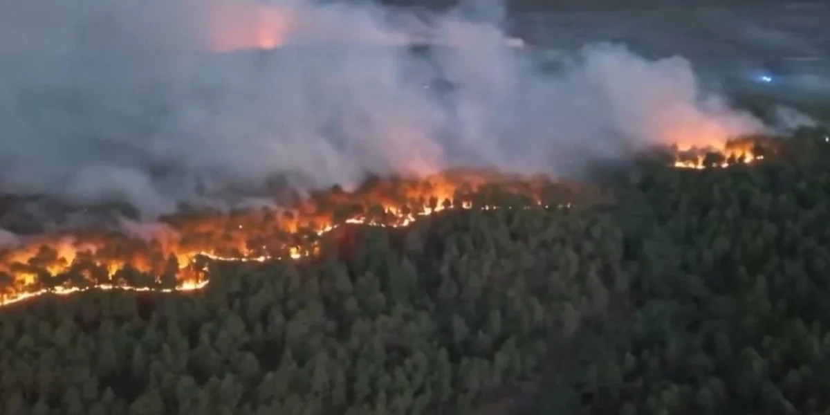 Rreth 700 hektarë pyje digjen nga zjarr i madh pranë Madridit
