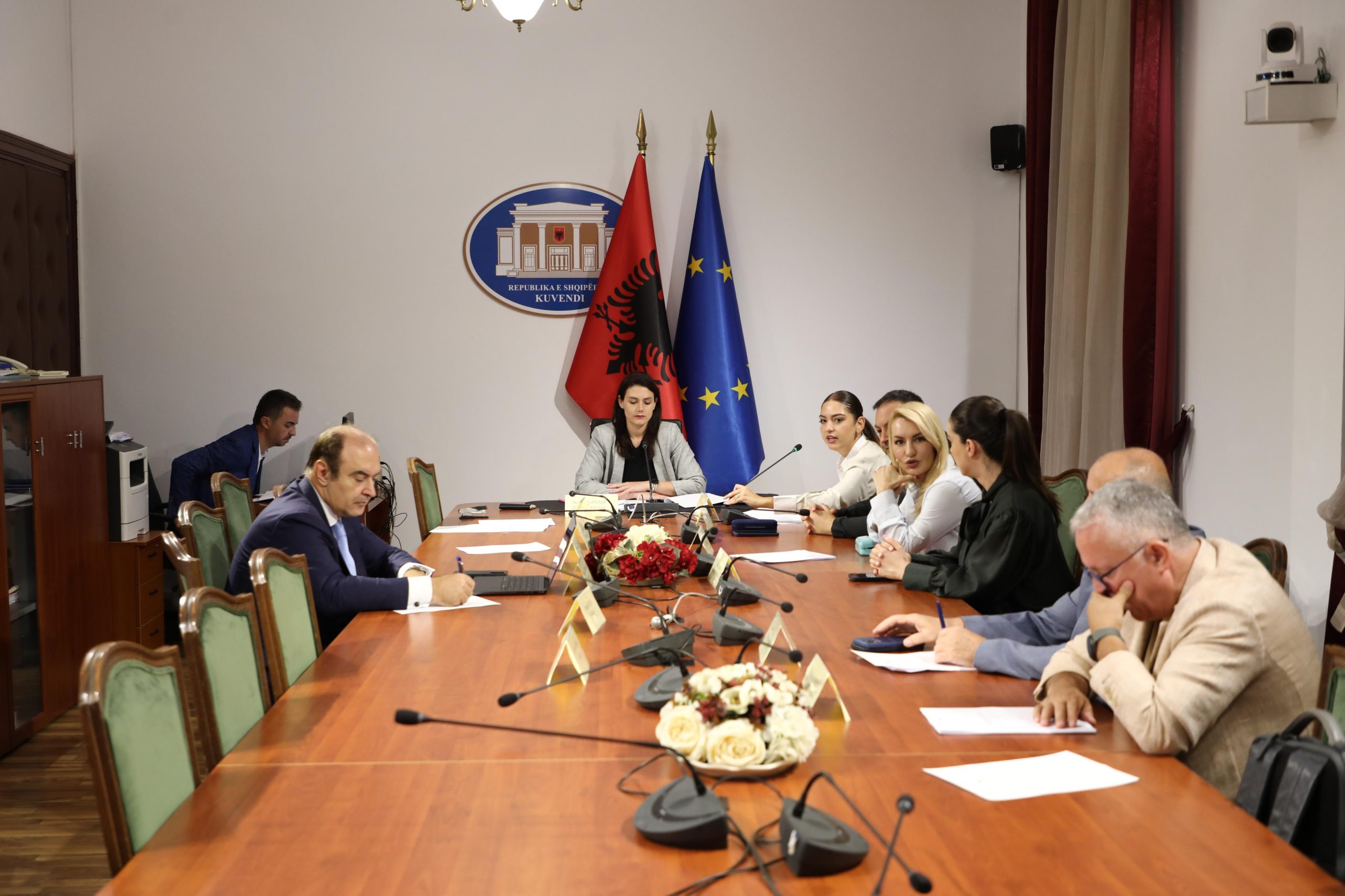 mbrojtja-e-produkteve-artizanale-dhe-industriale-komisioni-per-jashtem-miraton-projektligjin-e-ri