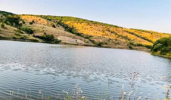 Humb jetën një 23 vjeçar në pendën e Bushtranit
