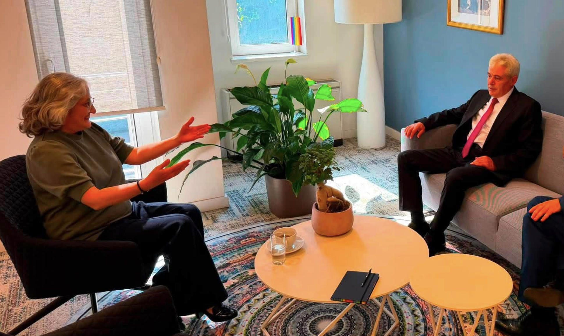 Ahmeti takon ambasadoren e Holandës  Rruga evropiane dhe Marrëveshja e Ohrit janë themeli i stabilitetit të vendit