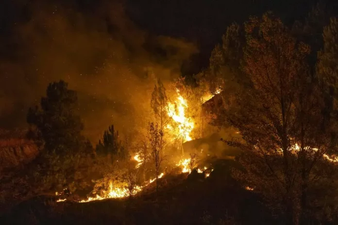 Të paktën 12 të vdekur nga zjarri pyjor në Almeria