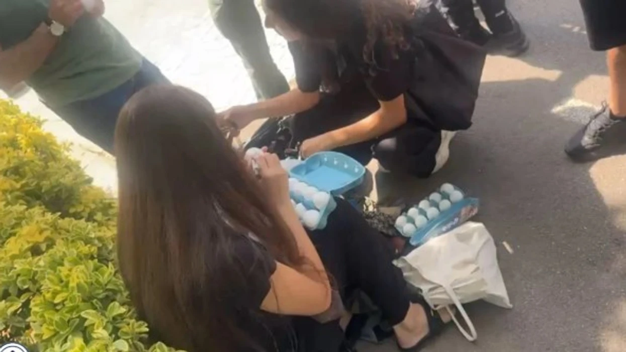 Protestuesit mblidhen te Kuvendit të Shqipërisë  personalizojnë vezët me emrat e deputetëve