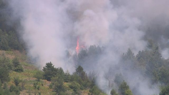 Zjarr në terren të vështirë për qasje në Vallandovë