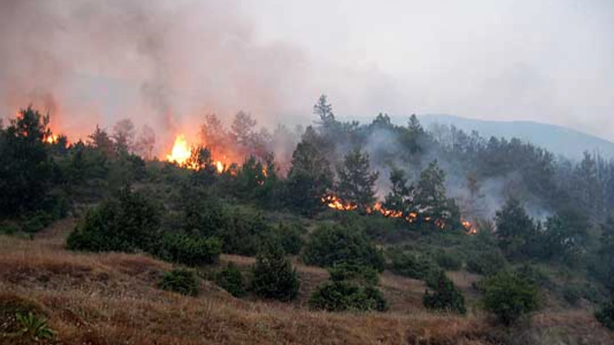 shuhet-zjarri-ne-deponine-e-qytetit-ne-kriva-pallanke