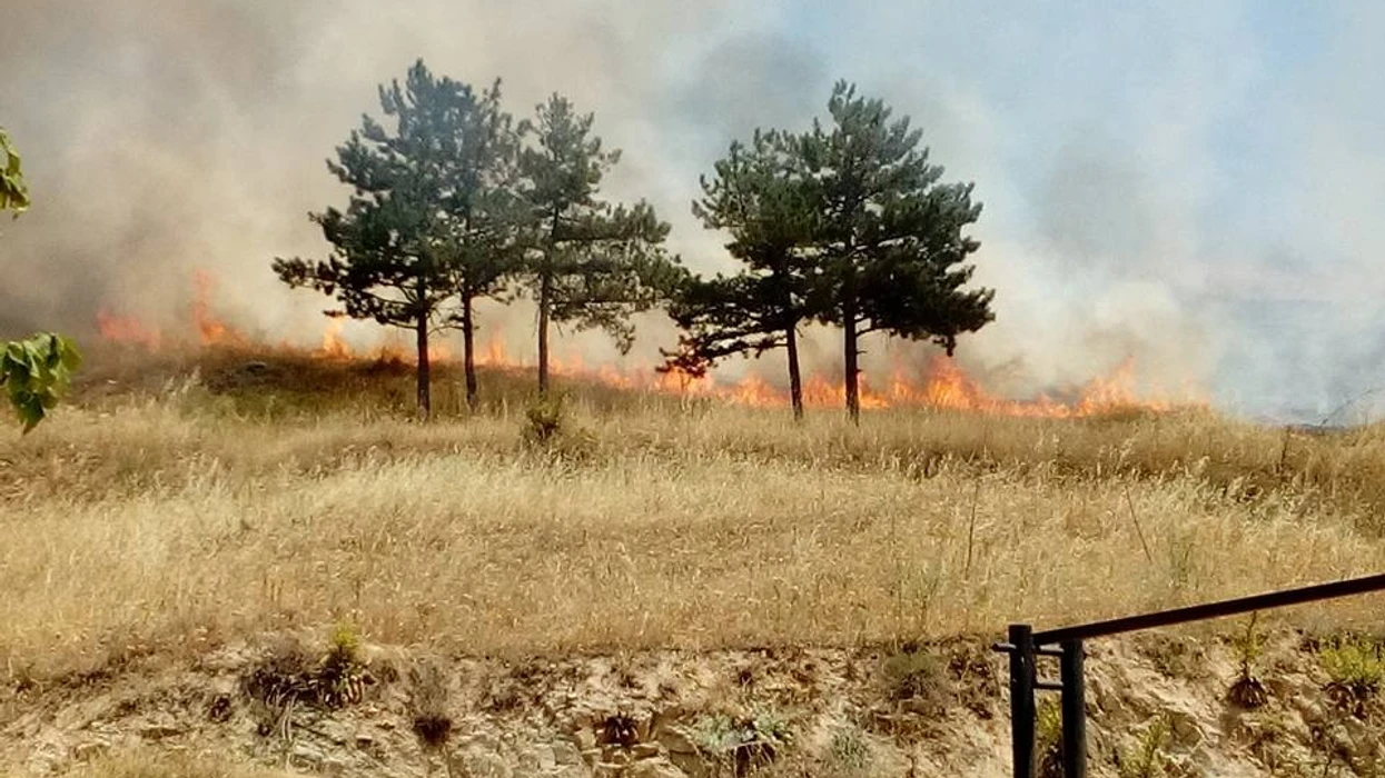 Zjarri në Kavadar: Zjarrfikësit luftojnë natën e gjatë kundër flakëve 