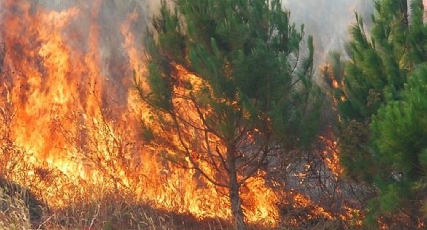 Shuhet zjarri në Kavadar  zjarrfikësit mbeten në terren