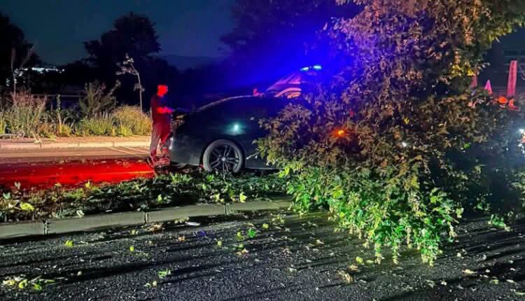 Përplasje e fortë në Tetovë  automjetet dalin nga rruga dhe rrëzojnë drunj