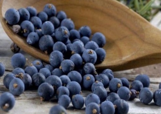 5-fruta-qe-do-ta-bejne-melcine-tuaj-te-duket-si-e-re