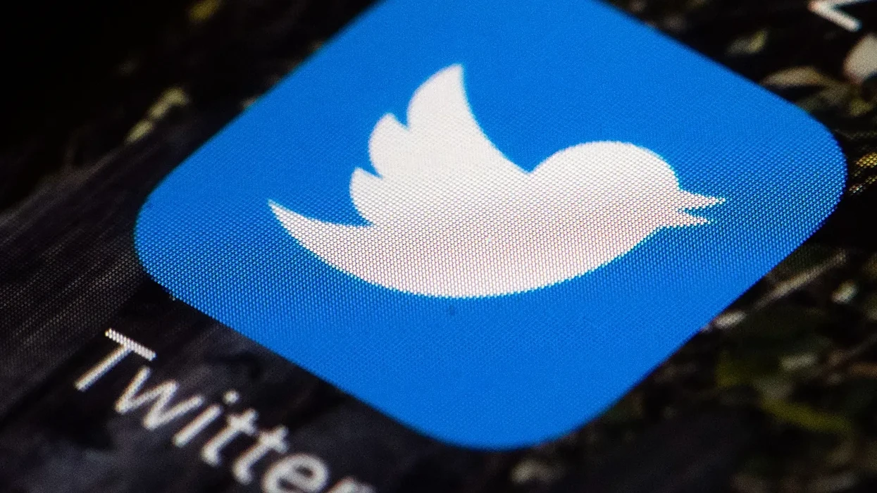  Harrojeni X  zogu është rikthyer    lansohet  Twitter i ri 