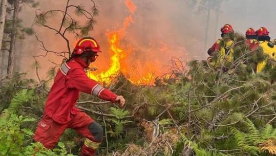 Katër vatra aktive dhe katër në monitorim  në terren 432 forca operacionale
