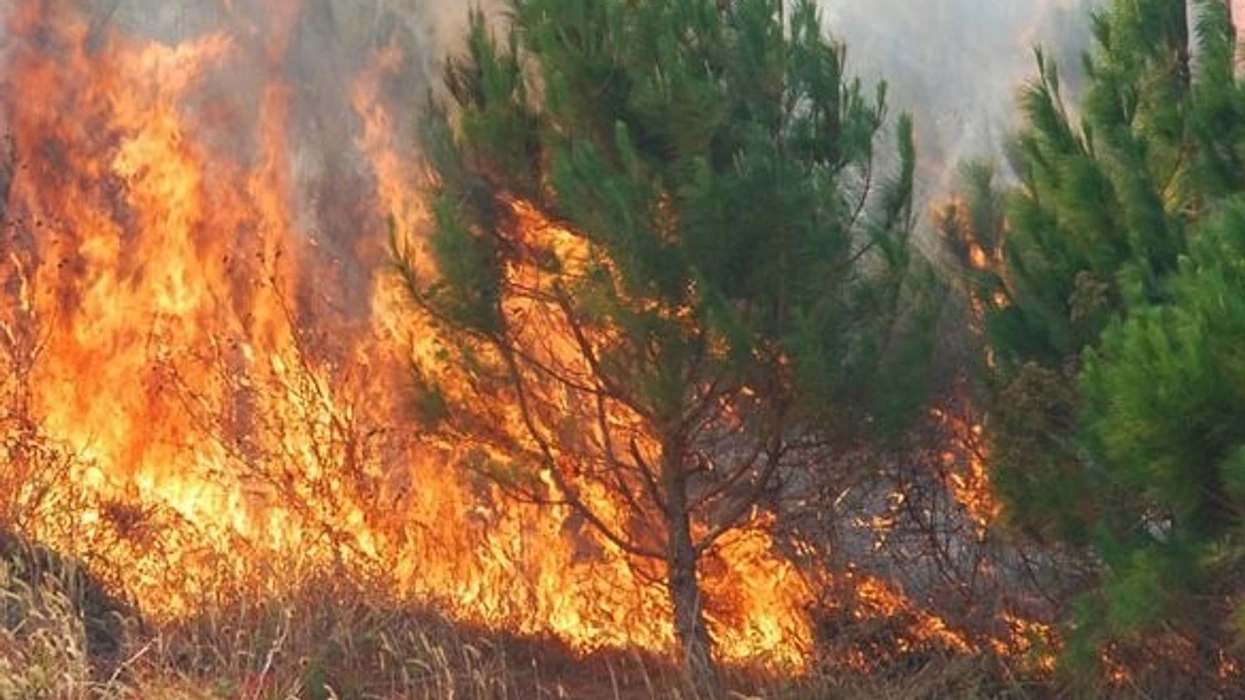 Në 24 orët e fundit në Maqedoni janë regjistruar gjithsej 11 zjarre, një është atkiv