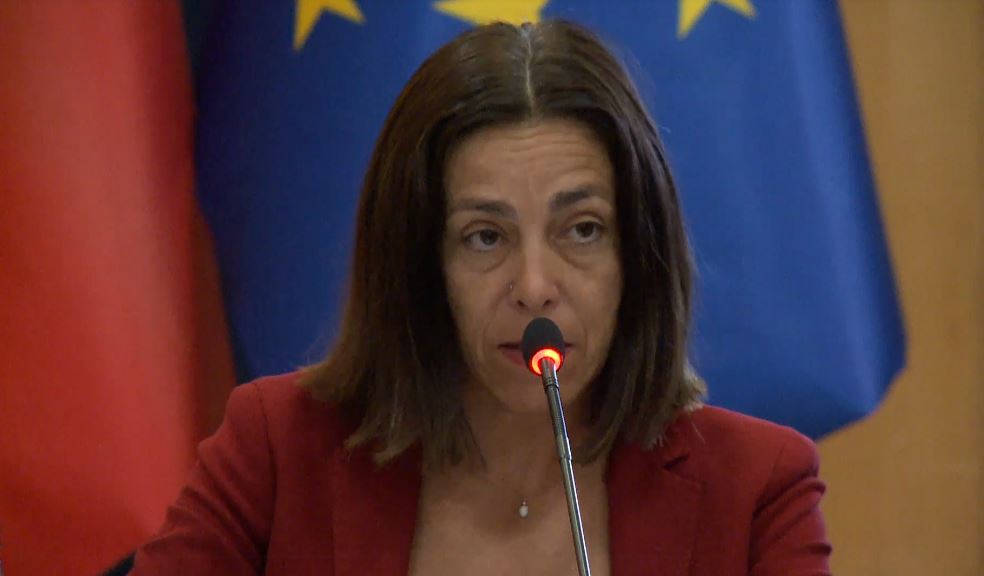 Moreira de Sousa  Shpejtësia e ligjeve për integrimin nuk duhet të rrezikojë transparencën dhe mbikëqyrjen parlamentare